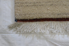 Wool Rug 6x9, Indian Hand Knotted Rug