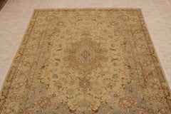 Tabriz Rug, Persian Rug, 8x11 Area Rug