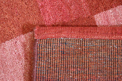 Hand Knotted Wool Rug, Indian Oriental Rug