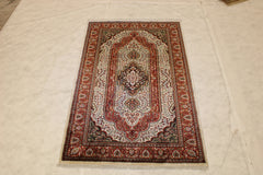 Kashmiri Rug, 4x6 Indian Rug, Hand Knotted Rug