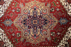 Serapi Rug, Traditional Rug, 9x12 Area Rug, large rugs for living room