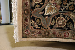 Jaipur Rug, Oriental Rug, Hand Knotted Indian Rug, 9x12 Rug