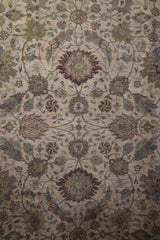 Indian Rug, Oriental Rug, 6x9 Area Rug, Rugs To Go, Rug Decor