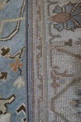 Oushak Rug, Wool Persian Rug, 6x9 Rug, Elegant Rug