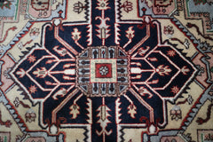 Oushak Rug, Persian Rug, Indian Rug, 9x12 Area Rug
