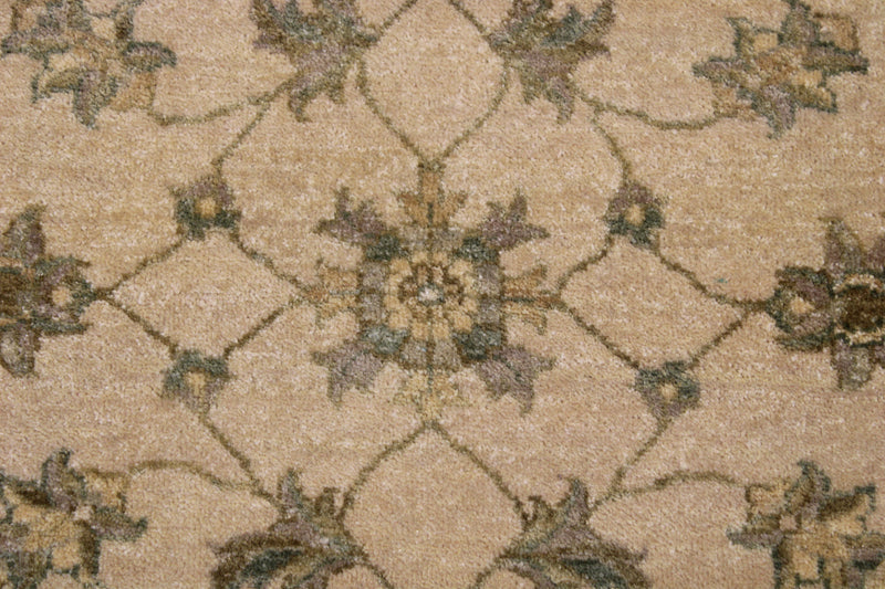 Hand Knotted Traditional Rug, Indian High Twist Rug