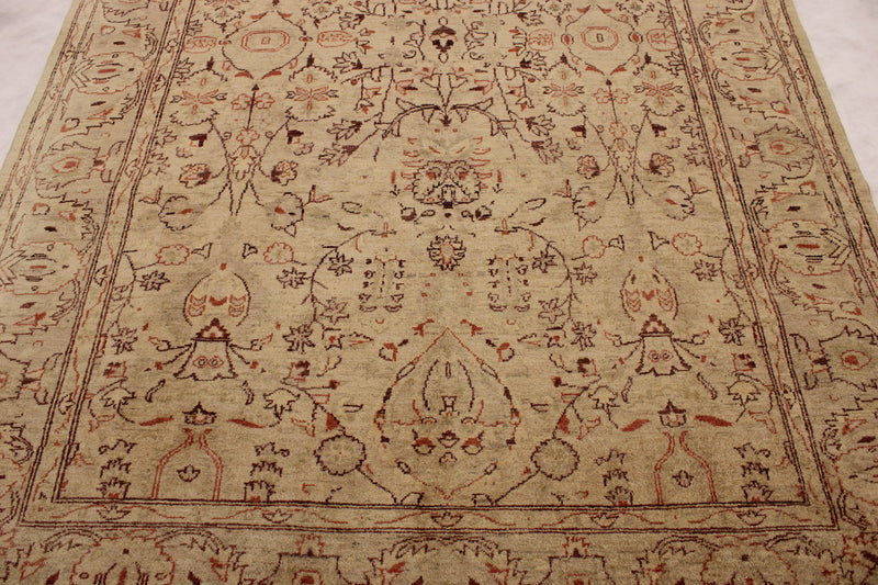 Pakistani Peshawar Rug, 6x9 Oushak Rug