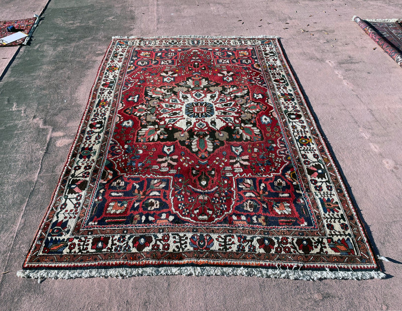 Baktiari Rug, Area Rug, Hand Knotted Rug