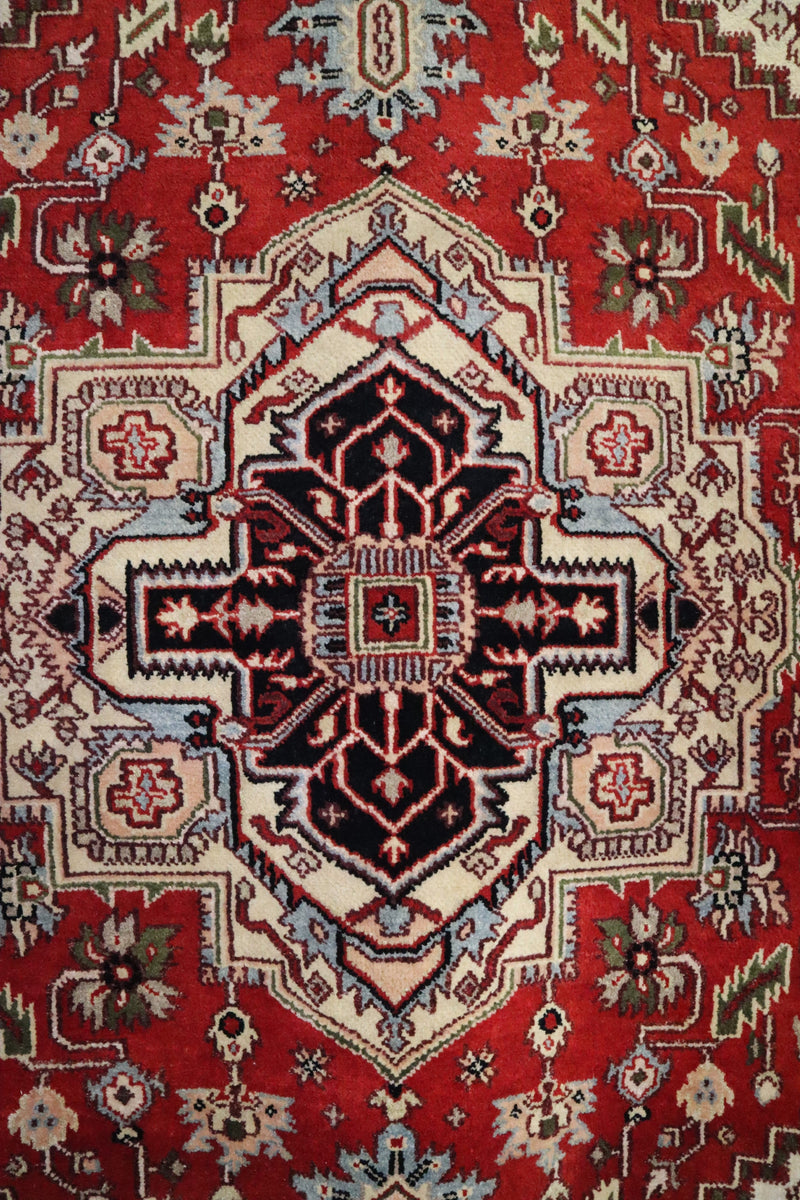 Serapi Rug, Persian Design Rug, Vegetable Dye Rug, 6x9