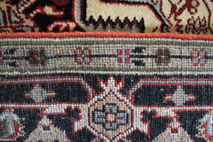 Serapi Rug, Persian Design Rug, Vegetable Dye Rug, 6x9