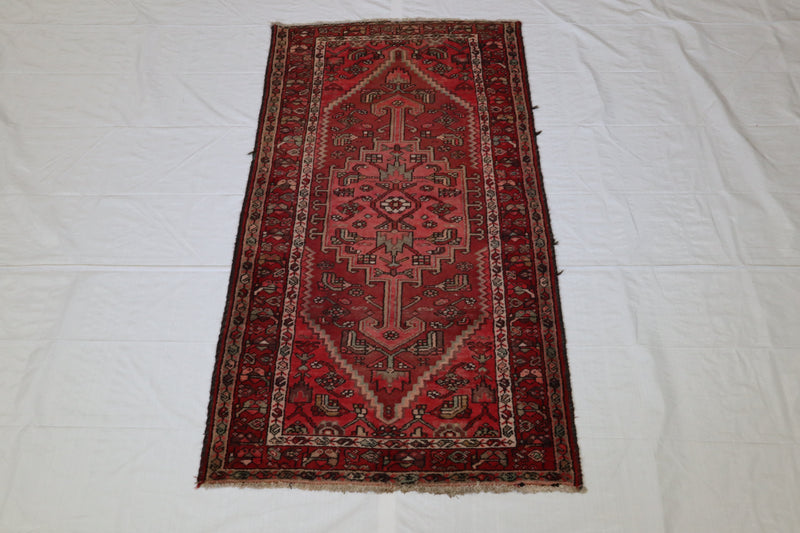 Persian Rug, 3x6 Area Rug, Hand Knotted Wool Rug