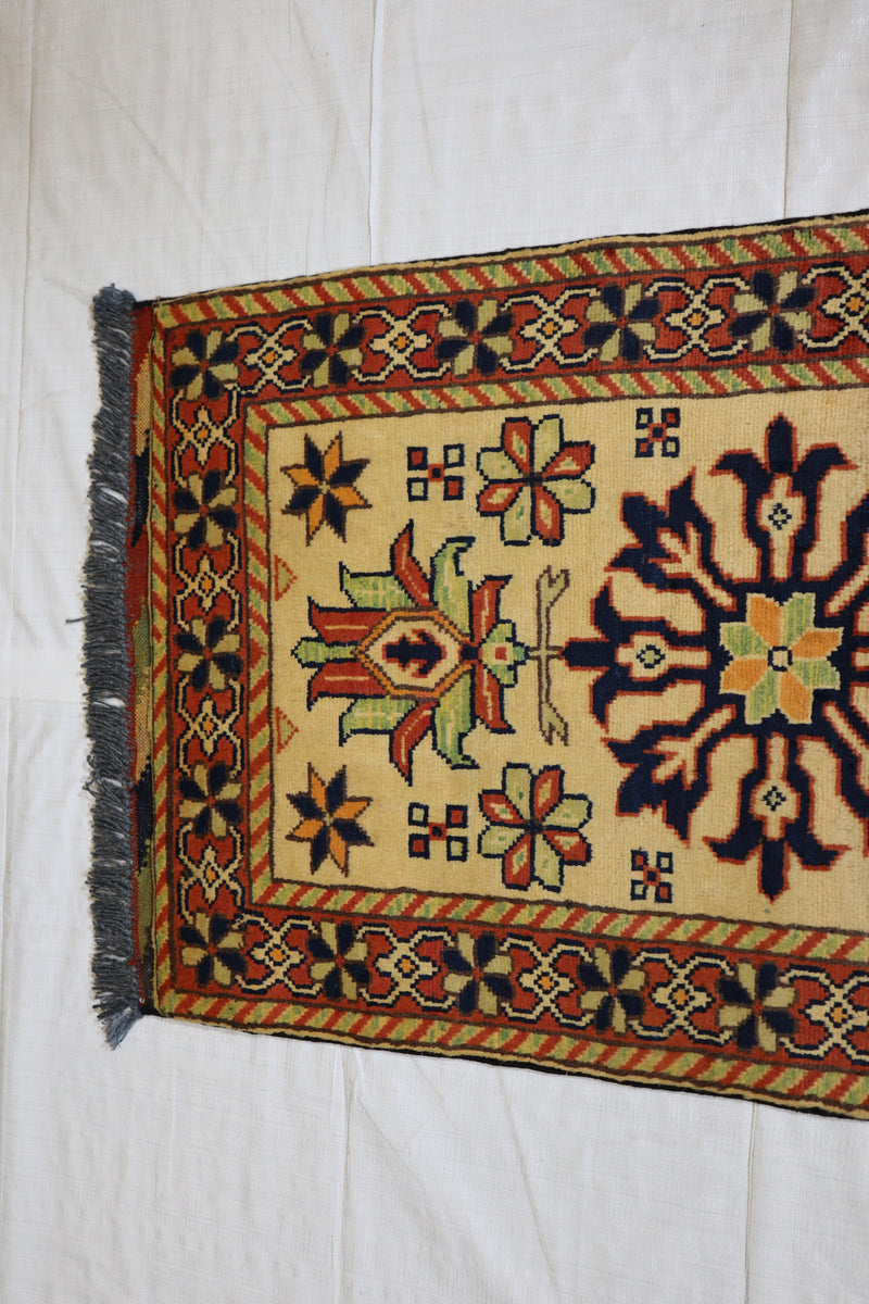 Turkman Rug, Hand Knotted Rug, Traditional Rug, Area Rug