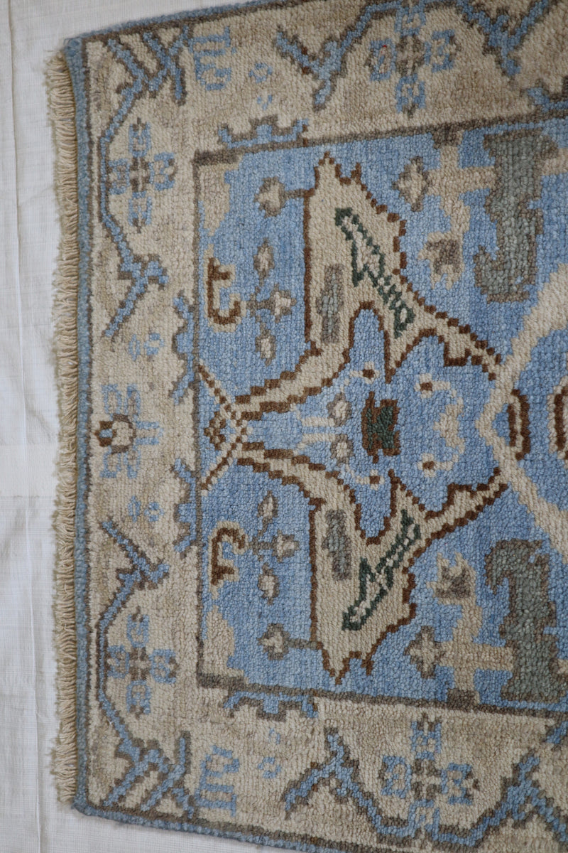 Oushak Rug, Persian Rug, Area Rug