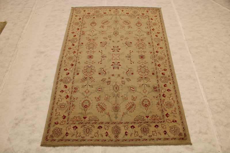 6x9 Area Rugs, Hand Knotted Pakistani Rugs