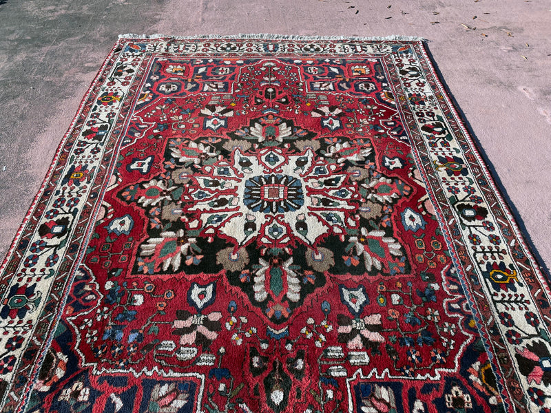 Baktiari Rug, Area Rug, Hand Knotted Rug