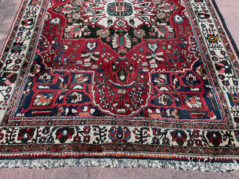 Baktiari Rug, Area Rug, Hand Knotted Rug