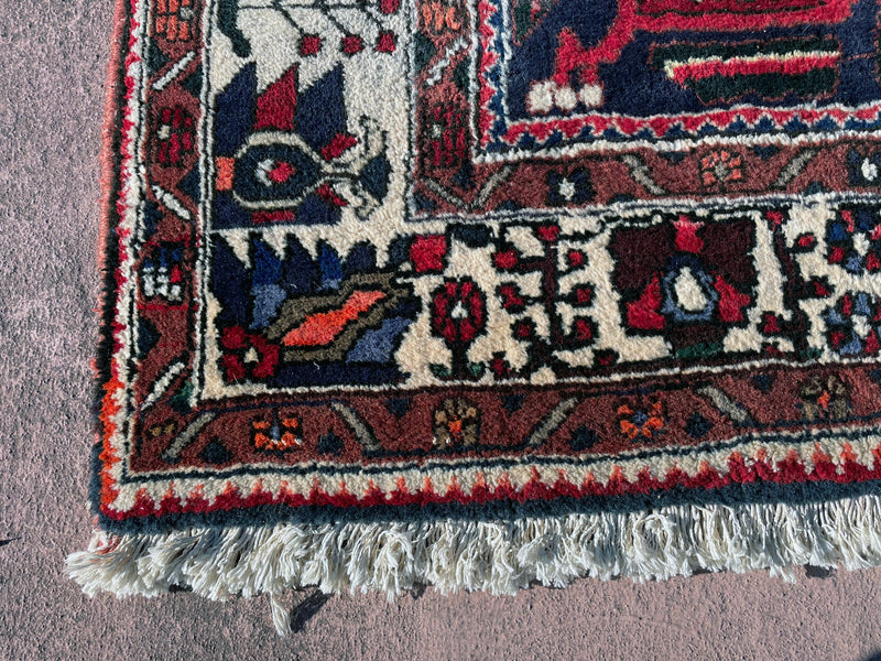 Baktiari Rug, Area Rug, Hand Knotted Rug