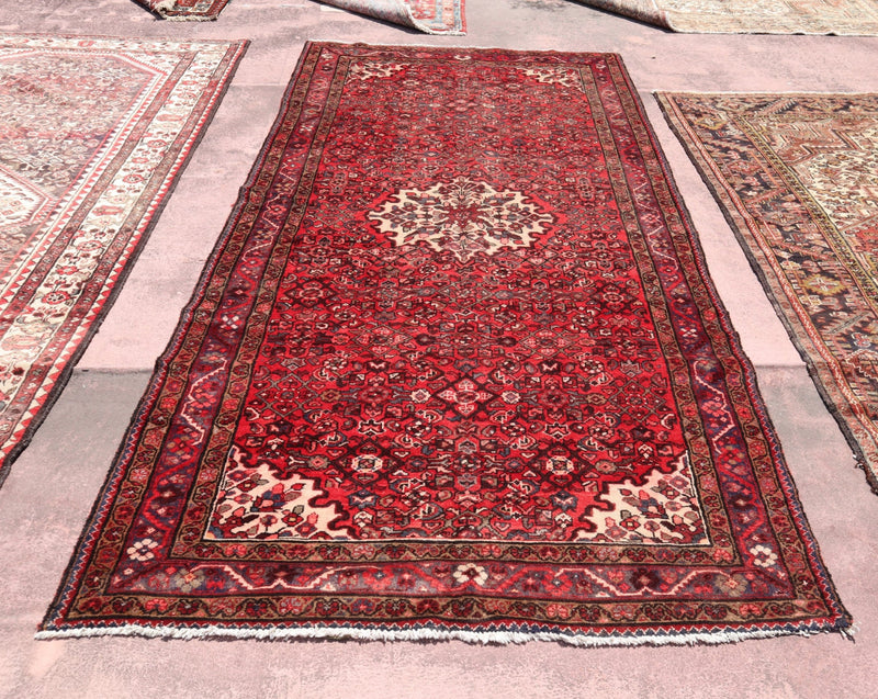 Bakhtiari Rug, Antique Rug, Types Of Persian Rugs, 5x10 ft Rug